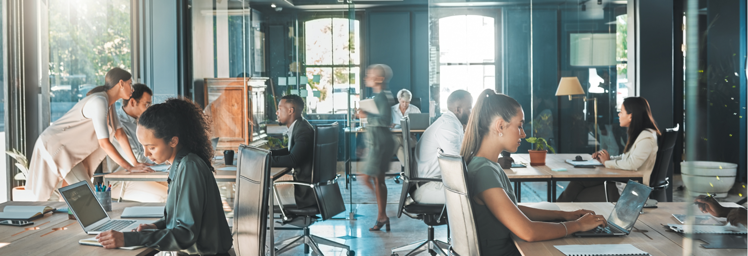 Foto Bruto Dossier Web